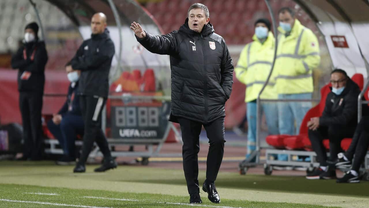 Serbia head coach Dragan Stojkovic on the touchline during the 2022 FIFA World Cup Qualifying match at the Rajko Mitic Stadium in Belgrade, Serbia. Picture date: Wednesday March 24, 2021.. See PA story SOCCER Republic. Photo credit should read: Novak Djur