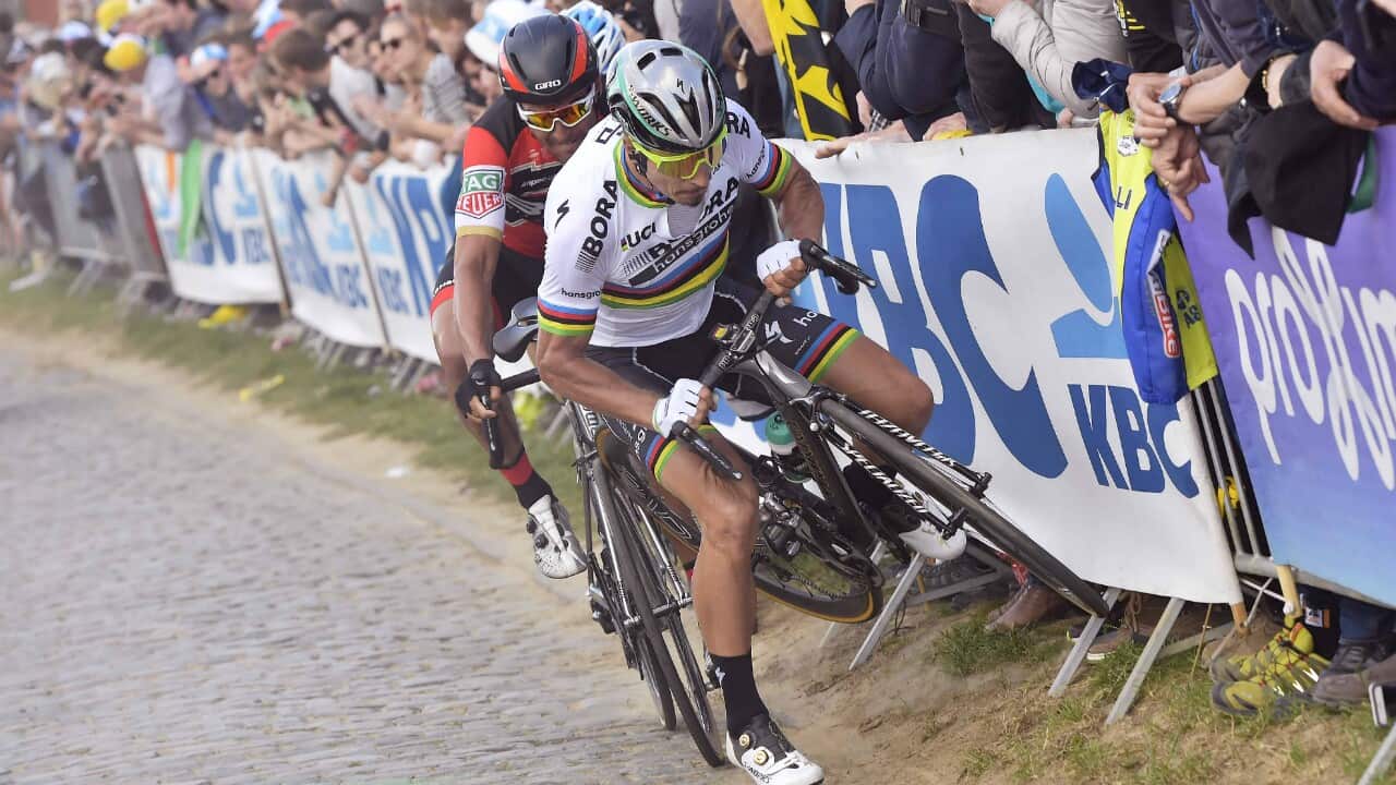 Peter Sagan, BORA-hansgrohe, Tour of Flanders