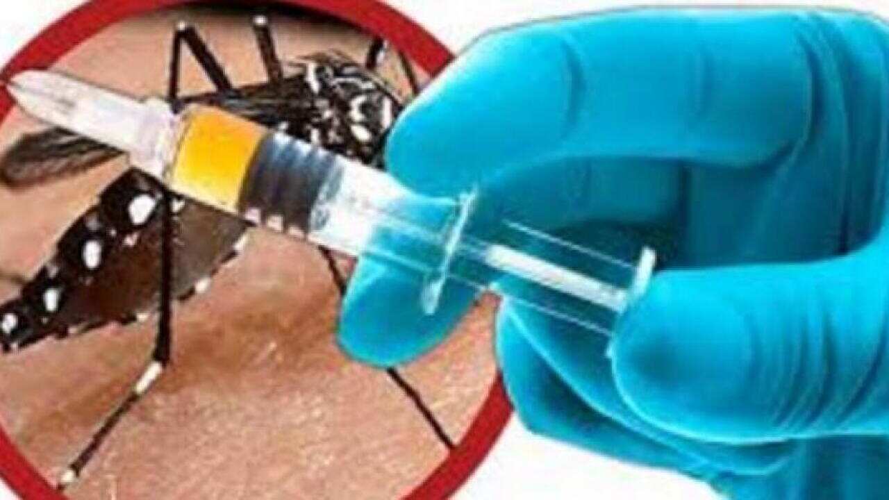 Vaccine for dengue fever