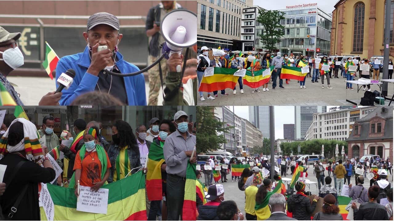 Interview with Seyoum Habtemariam