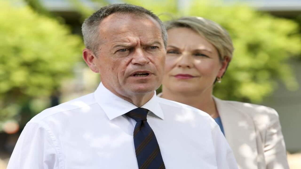 Bill Shorten and Tanya Plibersek