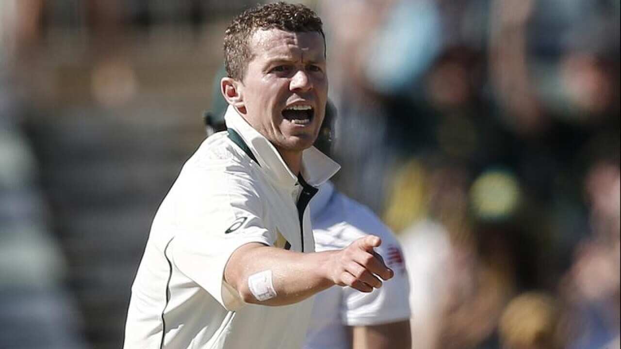 Peter Siddle will play for Victoria against South Australia.