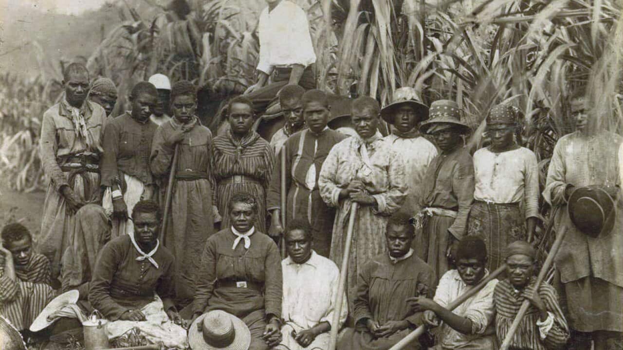 Groupe_de_Kanakas_dans_une_exploitation_de_canne_à_sucre_du_Queensland.jpg