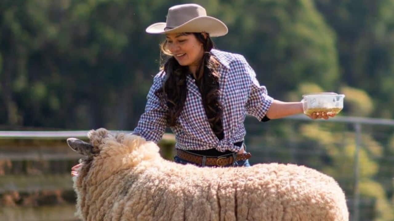 Image for read more article ''