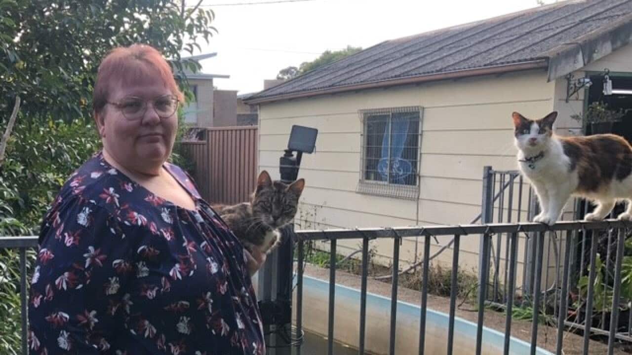 Image for read more article 'READ MORE'