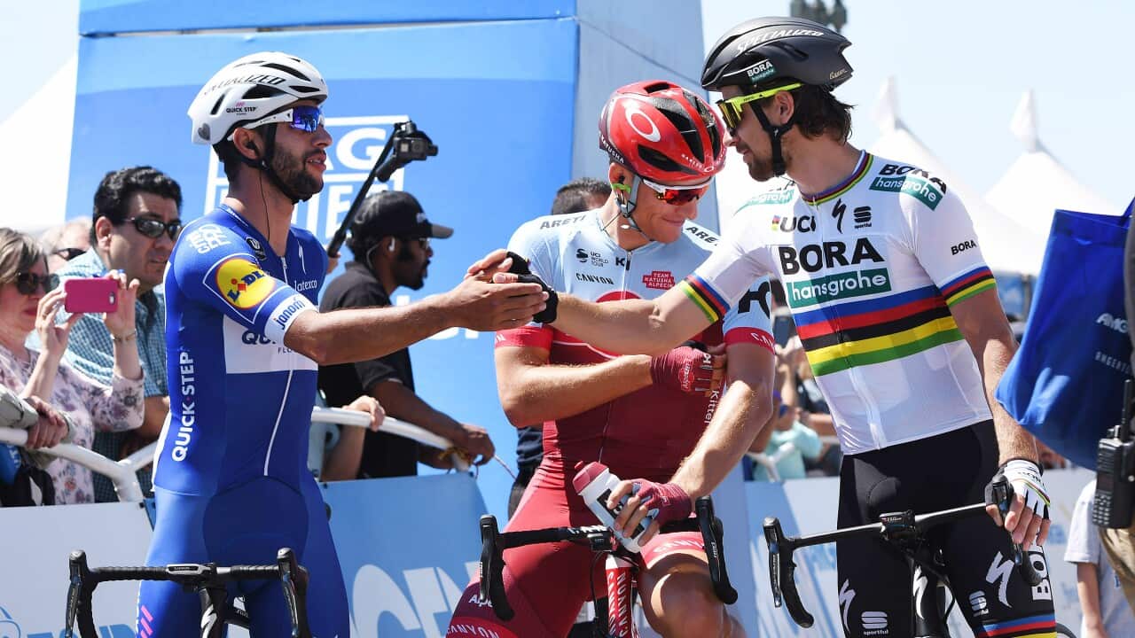 Fernando Gaviria, Peter Sagan, Marcel Kittel, Tour of California