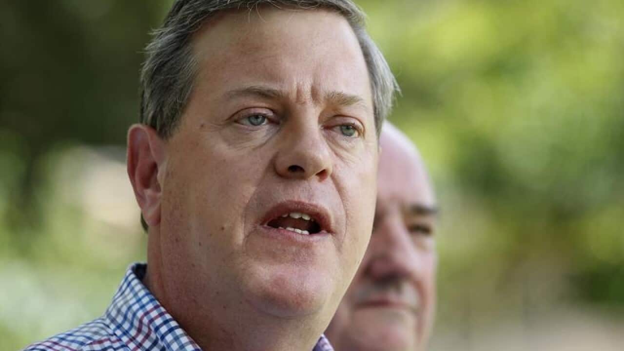 Queensland LNP leader Tim Nicholls