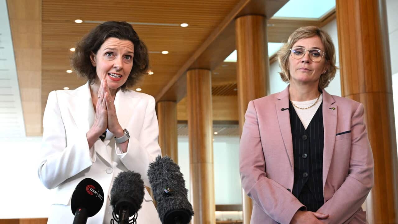 ZALI STEGGALL PRESSER