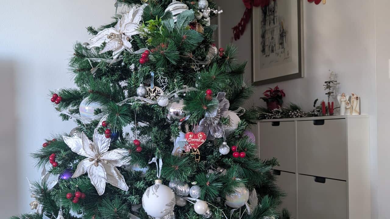 Božićni bor Jasna Novak Milić
