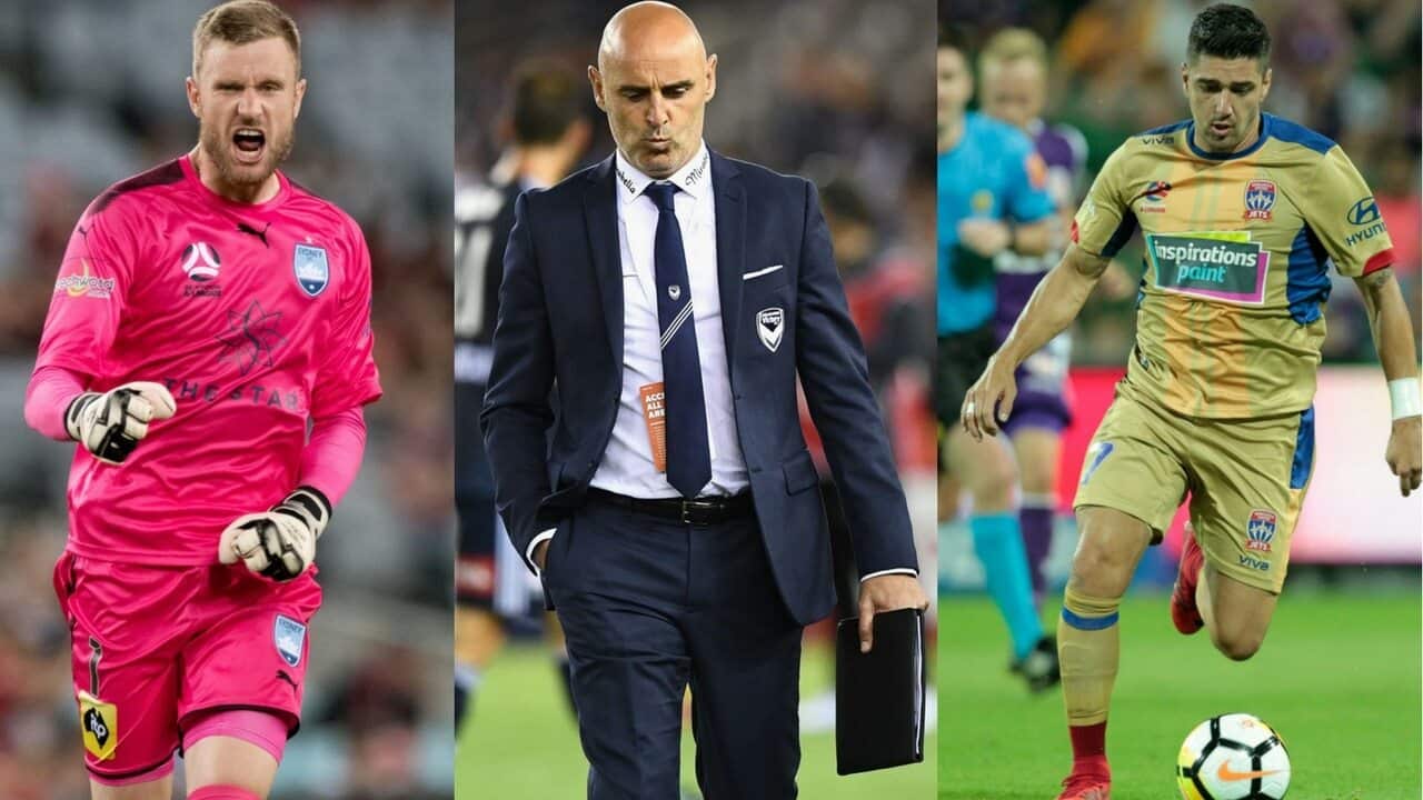 Redmayne, Muscat, Petratos