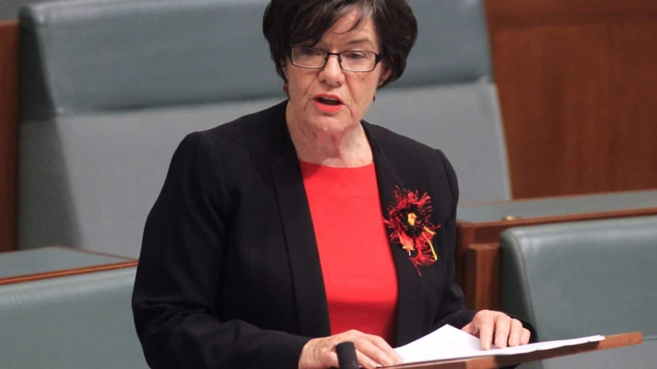 File image of Independent MP Cathy McGowan