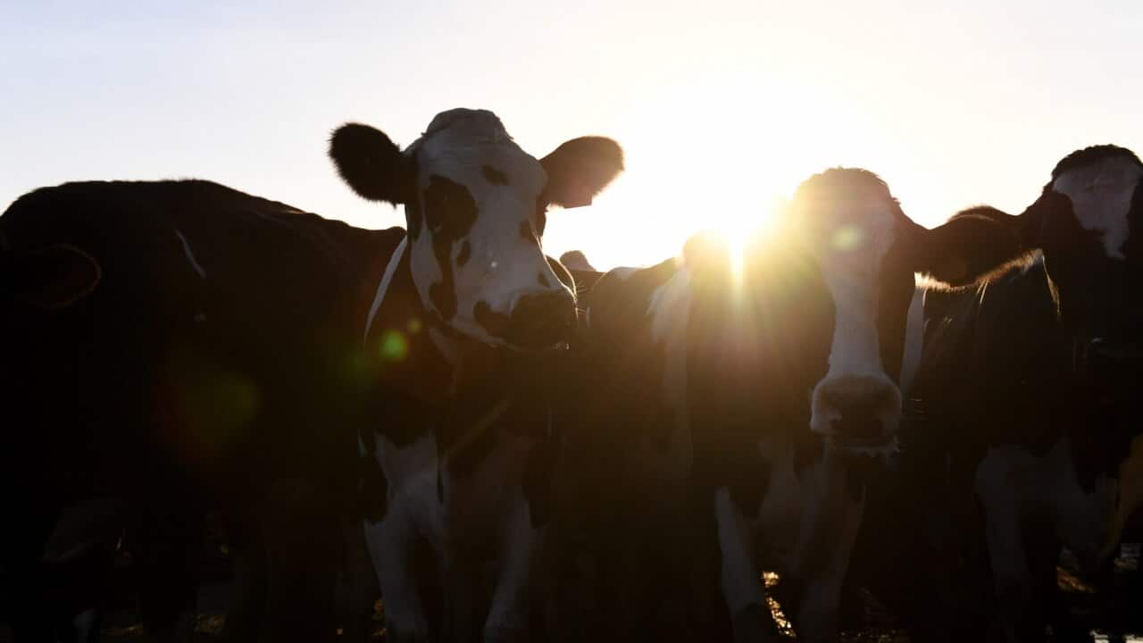 Image for read more article 'READ MORE'