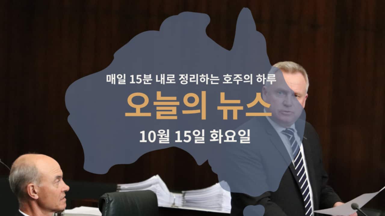 15news_web15.png