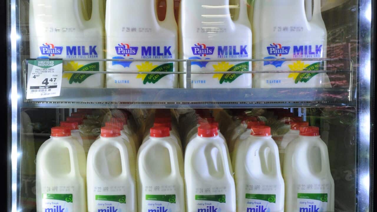 Cows' milk protects against HIV: study