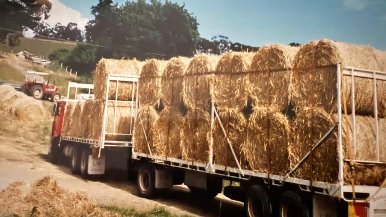La fattoria di Giuliano e Rita Lorenzetti a a Lobethal, nel SA.