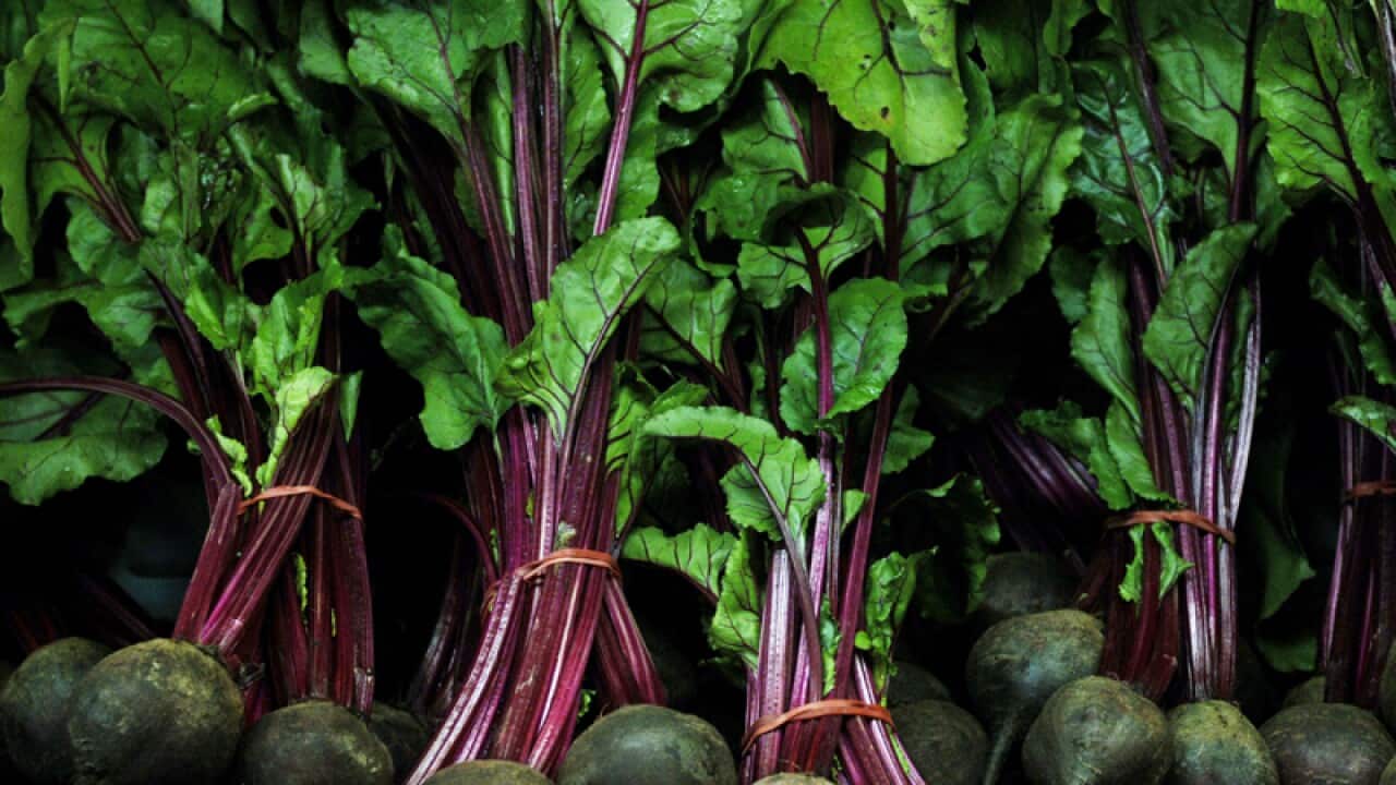 organic beetroot