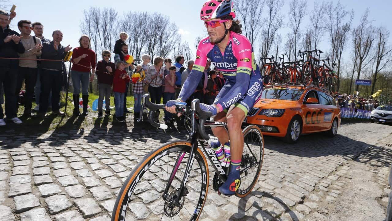 Cycling technology, disc brakes, UCI WorldTour