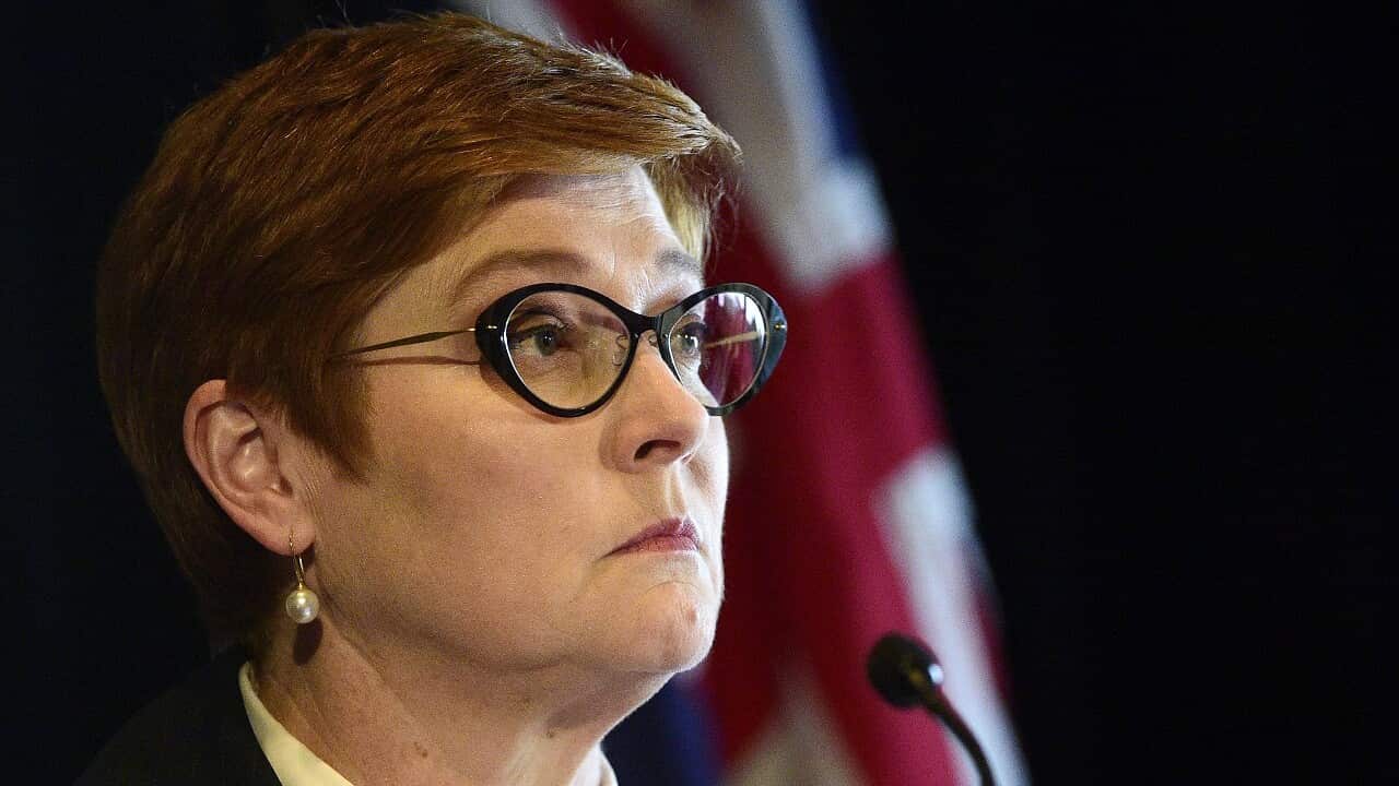 Foreign Minister Marise Payne said the detainment of the three Australians was a matter of deep concern.