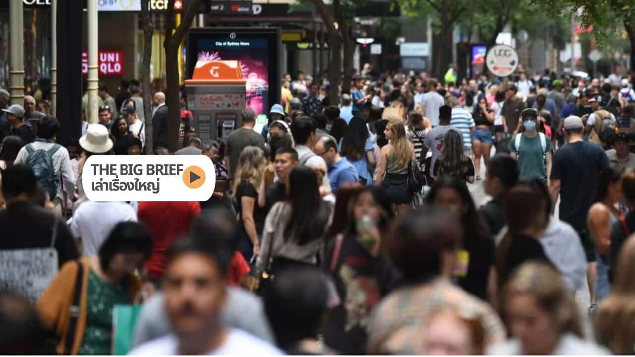 The Big Brief HEADER (1).jpg