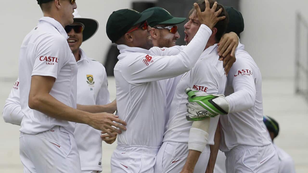 South African cricketers celebrate after claiming a wicket