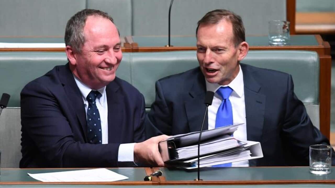File picture of Barnaby Joyce and Tony Abbott in parliament.