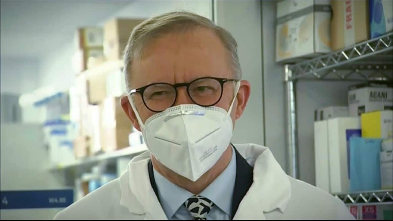 Prime Minister Anthony Albanese has been meeting scientists - and they all wore masks (SBS).jpg