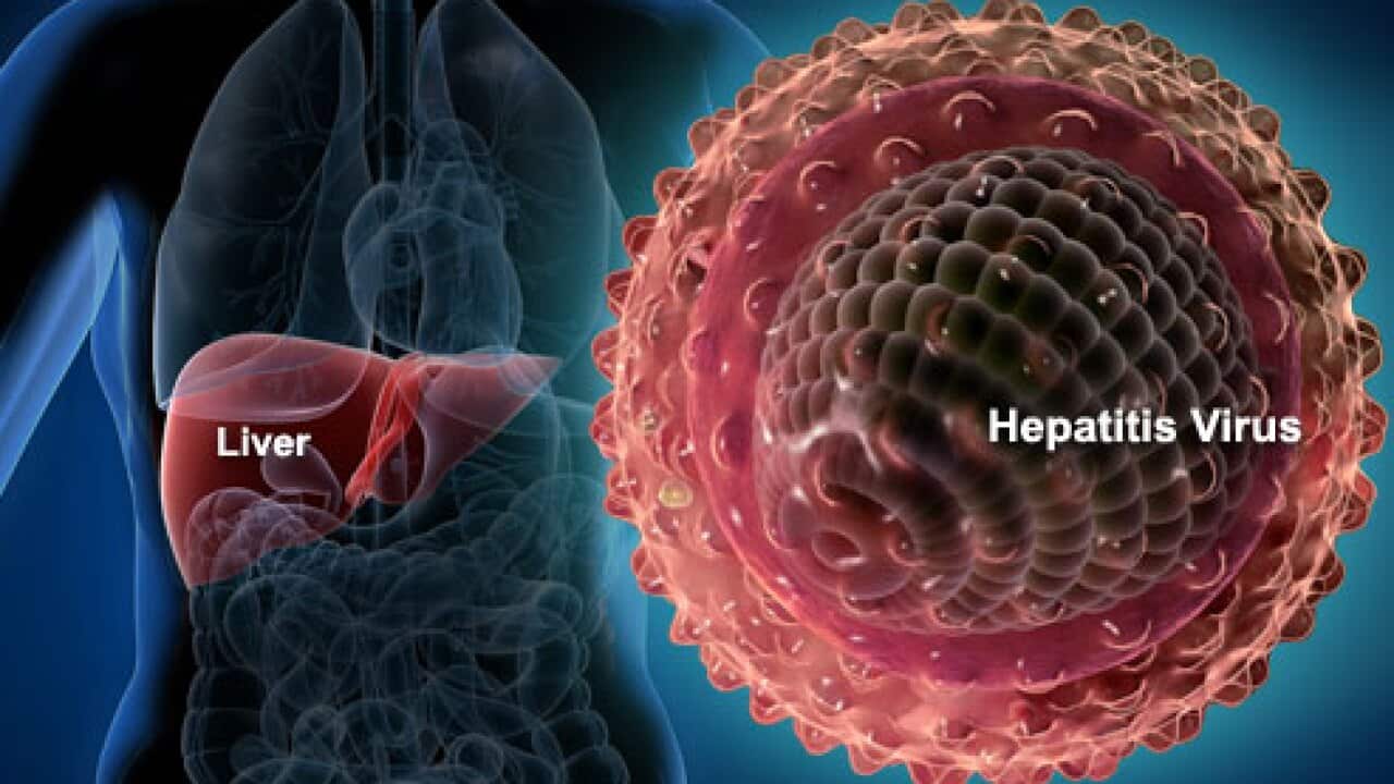 Hepatitis C virus to cost as cheap as $6