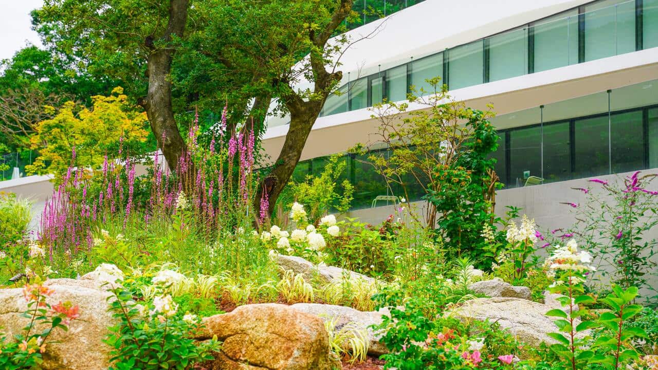 Garden - Unsplash Photos - Chaewon Lee