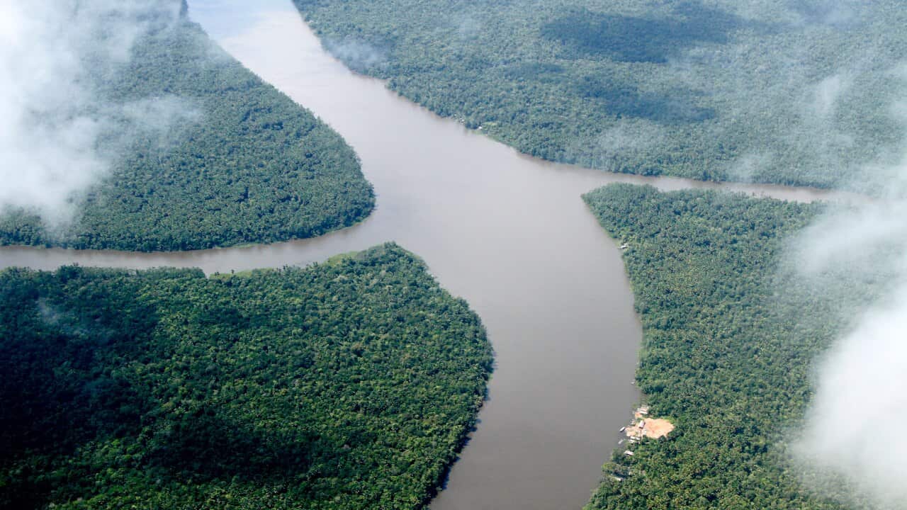 A 20-year-old woman has become Brazil's first Indigenous person to contract COVID-19.