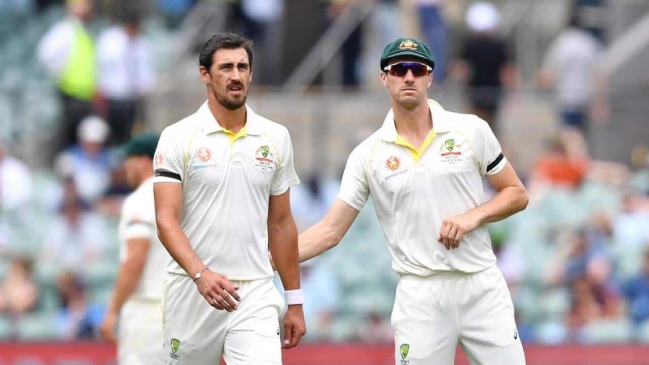 Mitchell Starc and Pat Cummins.