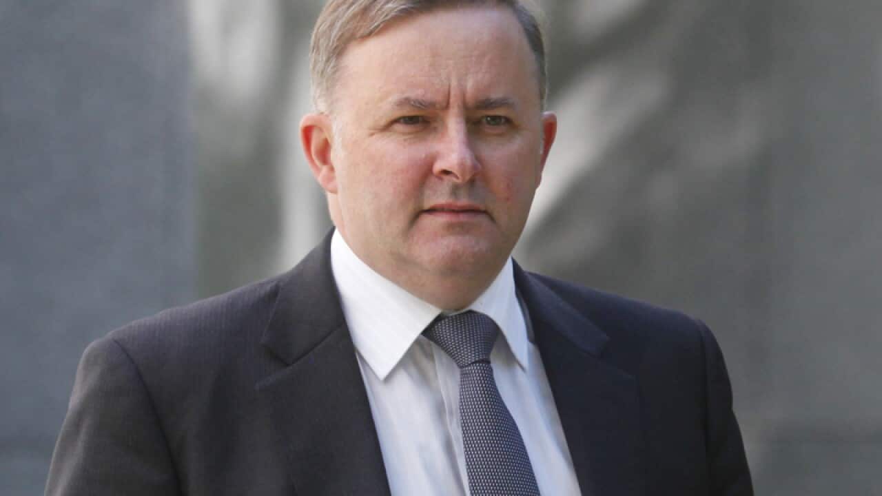 Albanese says Labor will win in September