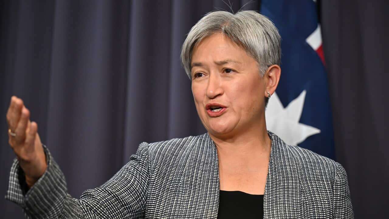 GERMAN FOREIGN MINISTER VISIT