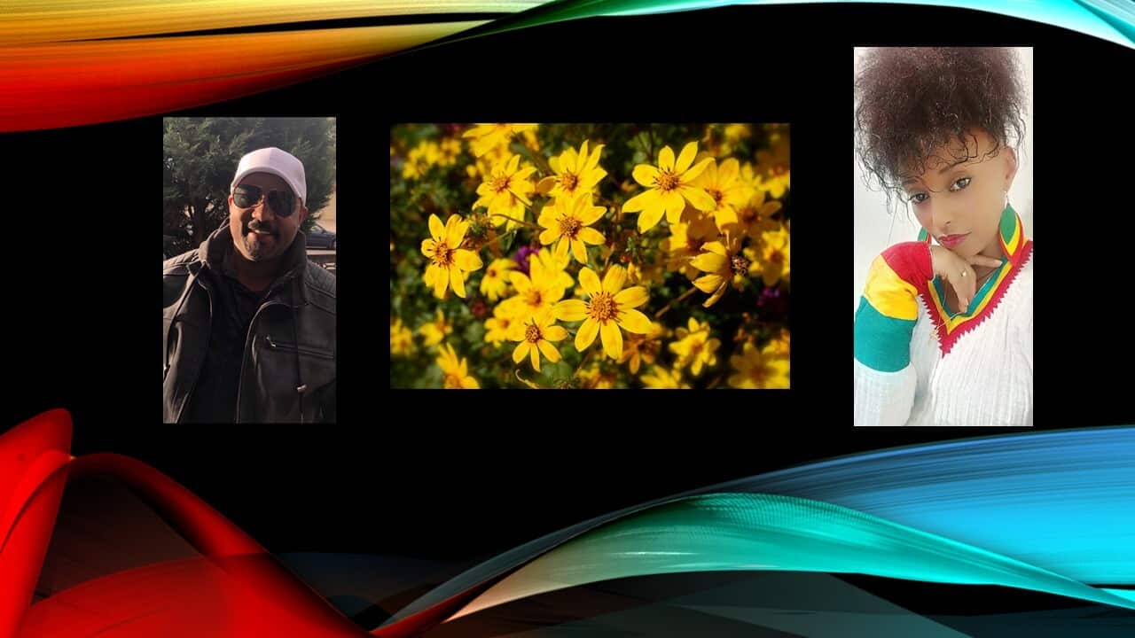 ECAVIV Ethiopian NY 2013