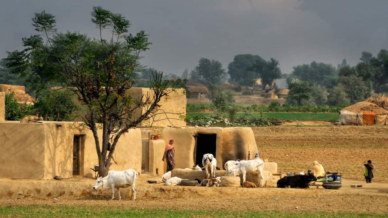 A village in Punjab