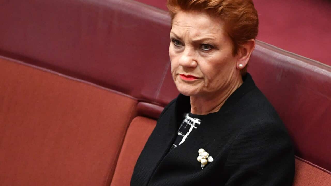 One Nation Senator Pauline Hanson