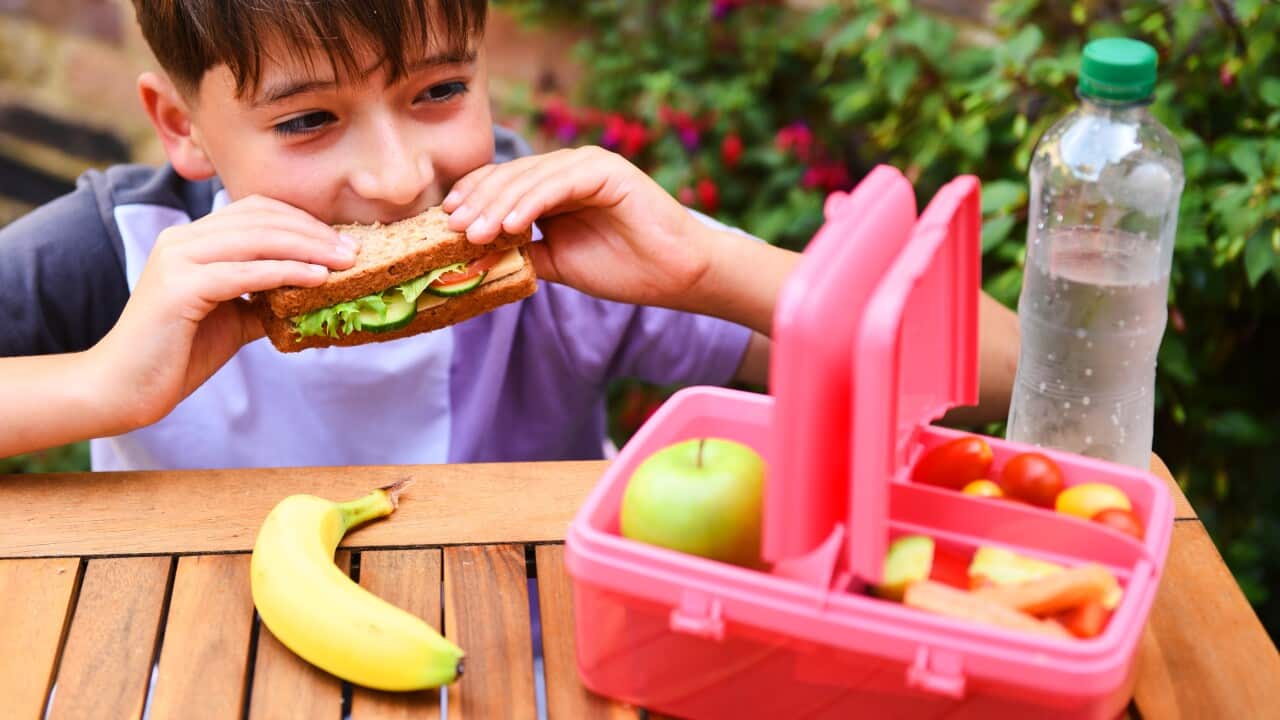Schoolboy with healthy lunch box