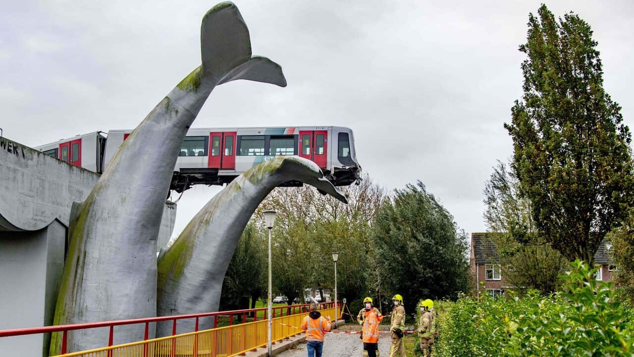 Conoce cómo la cola de una escultura de ballena salvó una vida y un tren.