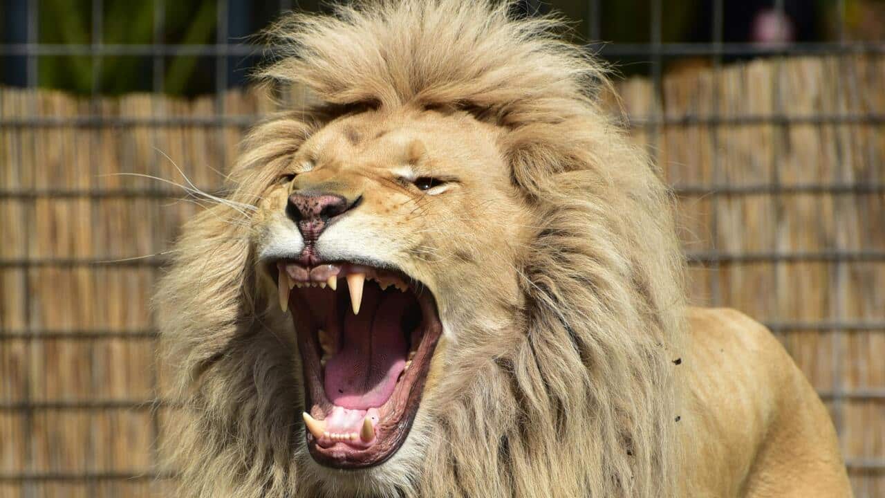 Image for read more article 'READ MORE'