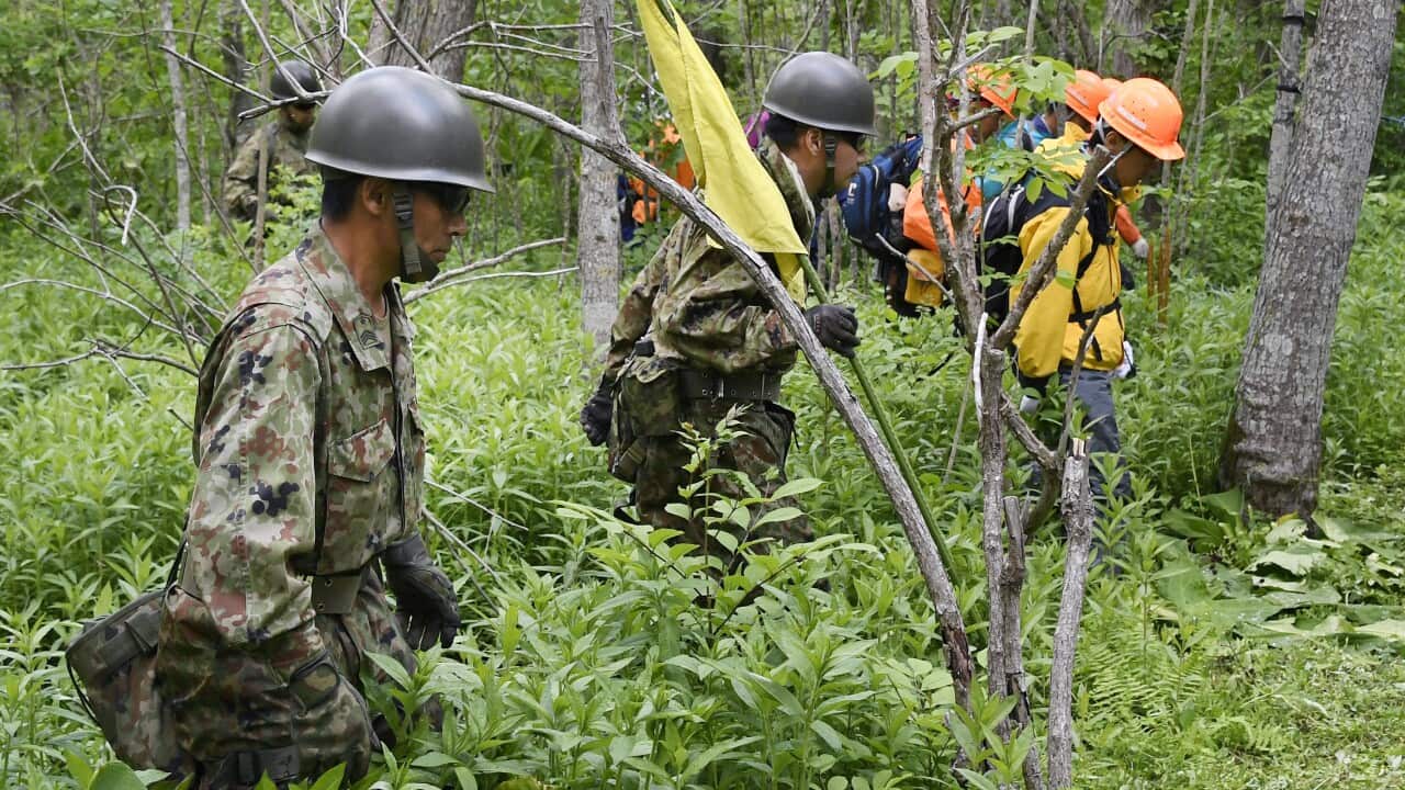 Members of the Ground Self-Defense Force conduct a search operation for Yamato Tanooka. (AP)