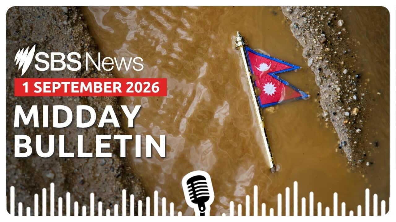MIDDAY BULLETIN 010926.jpg
