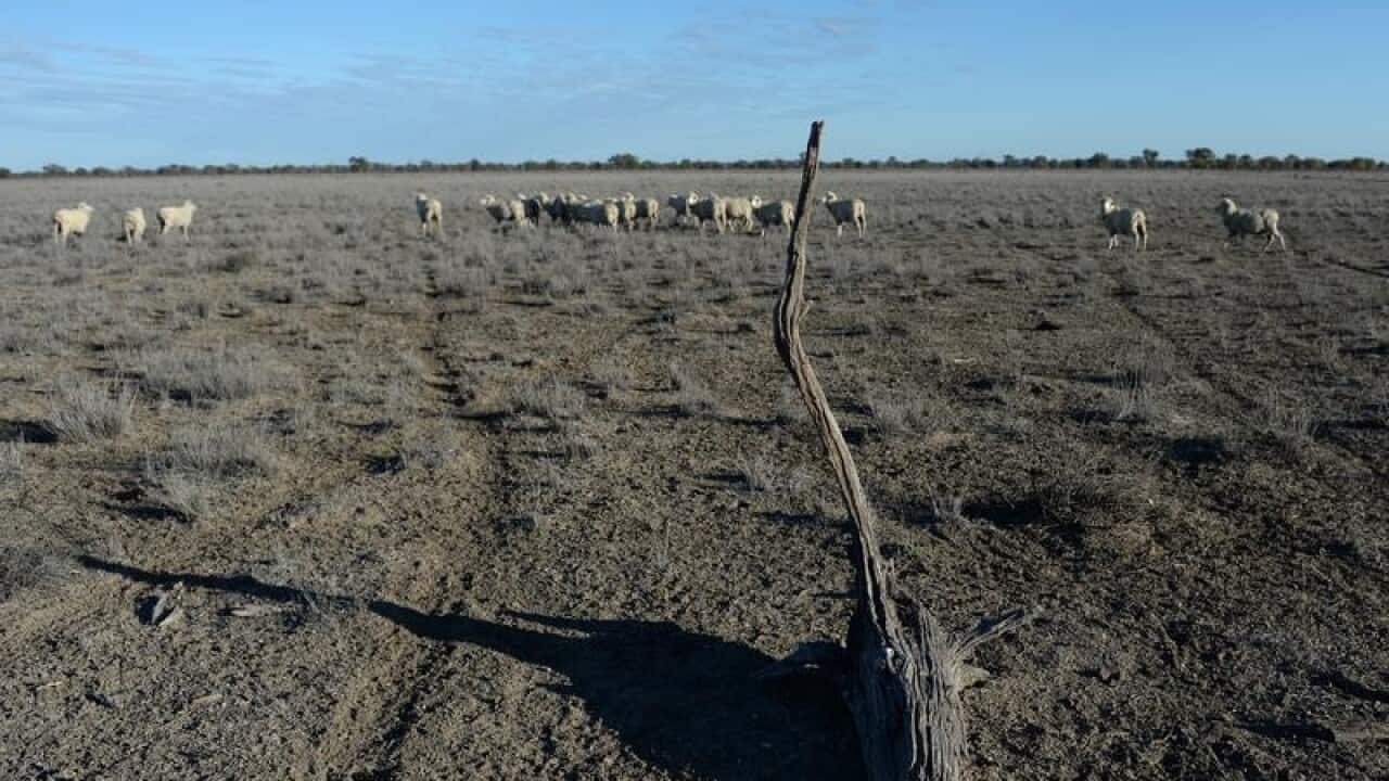 drought Lightning Ridge