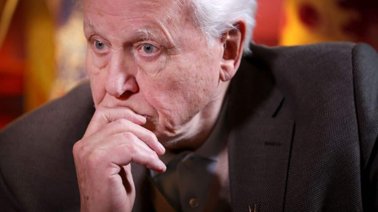 Sir David Attenborough warns the 'moment of crisis' on climate change has arrived.