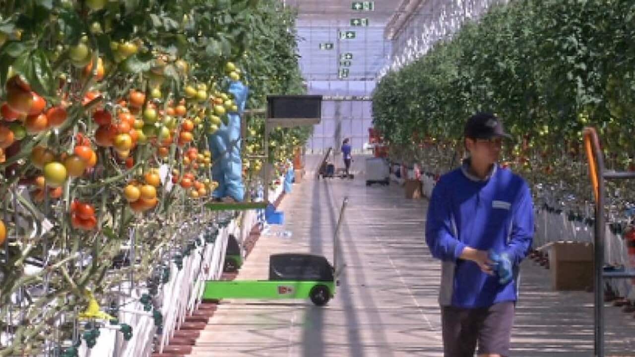 Farming in Arid land