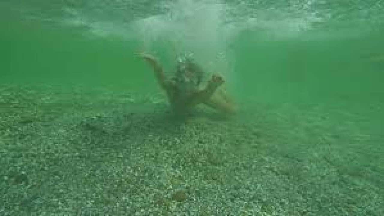 swimming lessons in open water marleen veldhuis