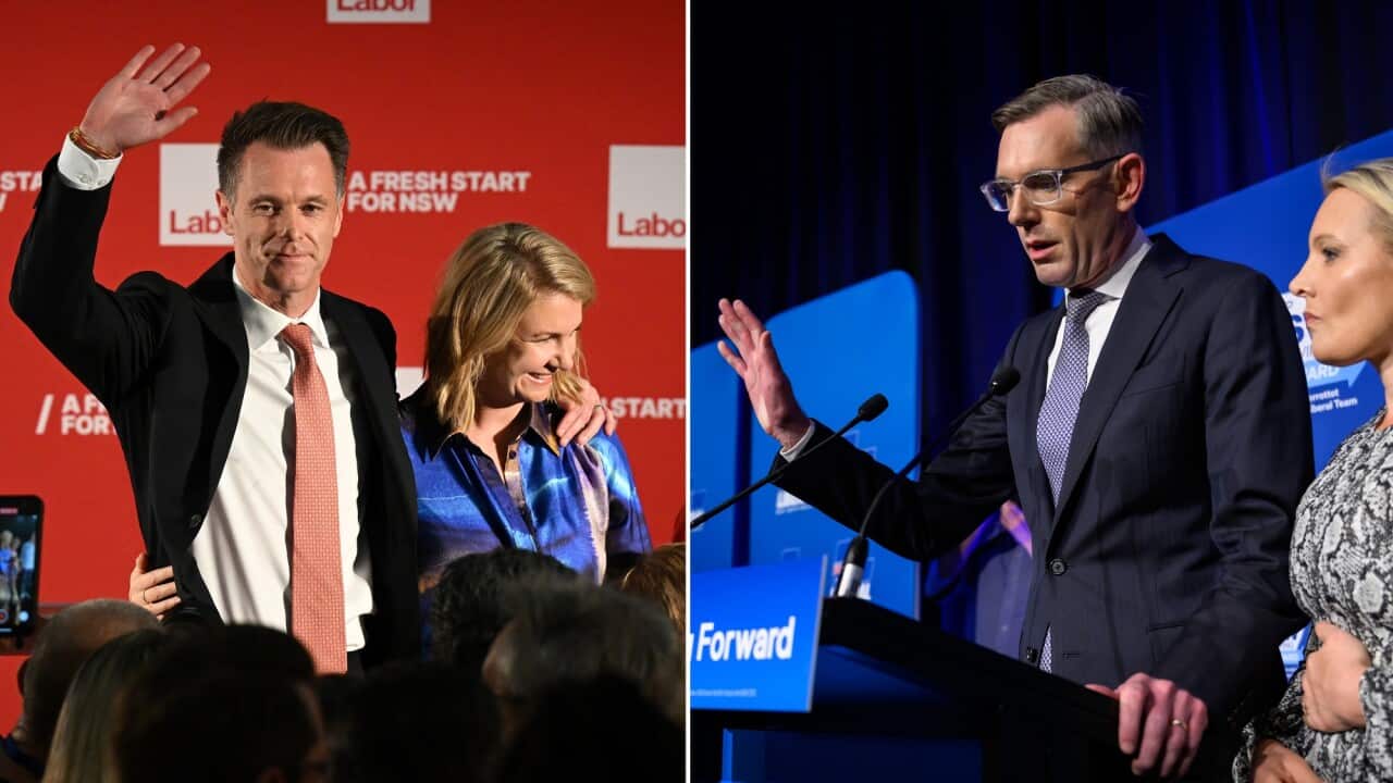 CHRIS MINNS DOMINIC PERROTTET DIPTYCH