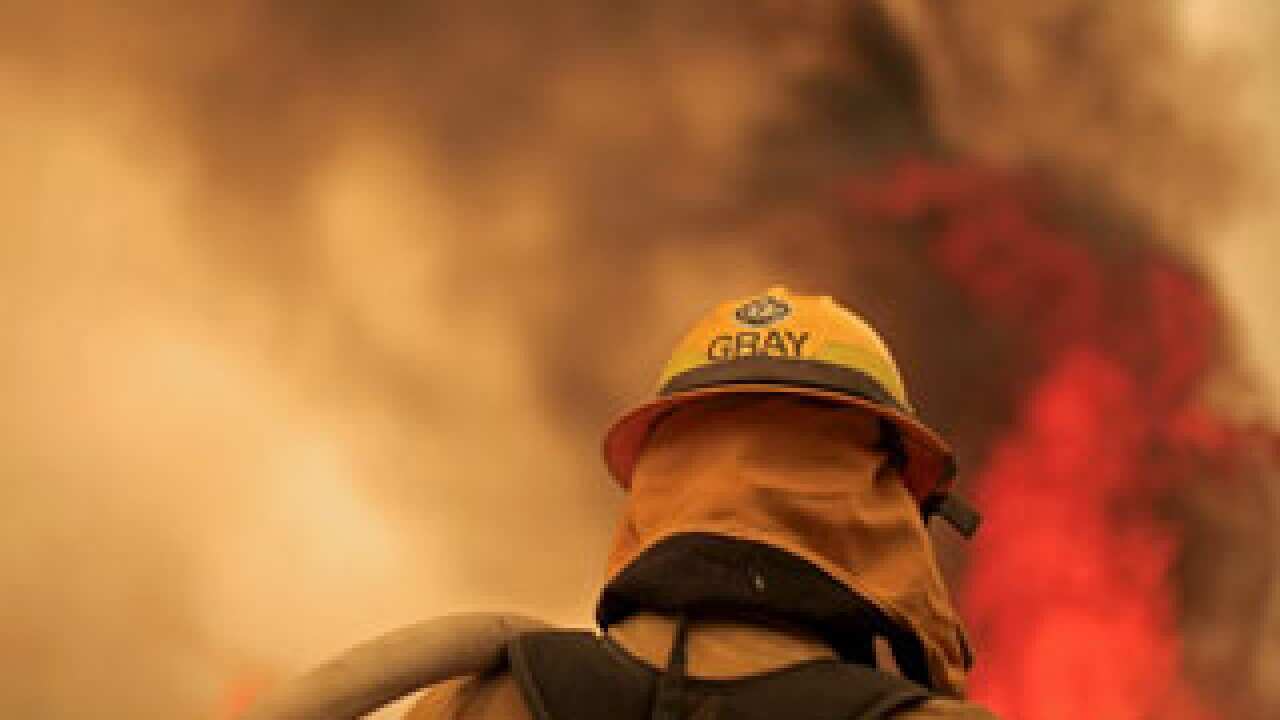 California Firefighter