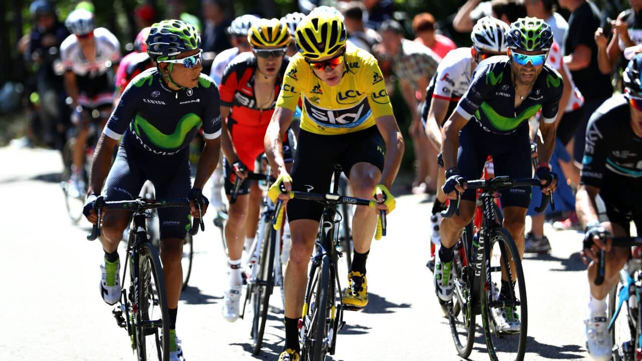 Nairo Quintana, Tour de France 2016 Stage 12, Movistar