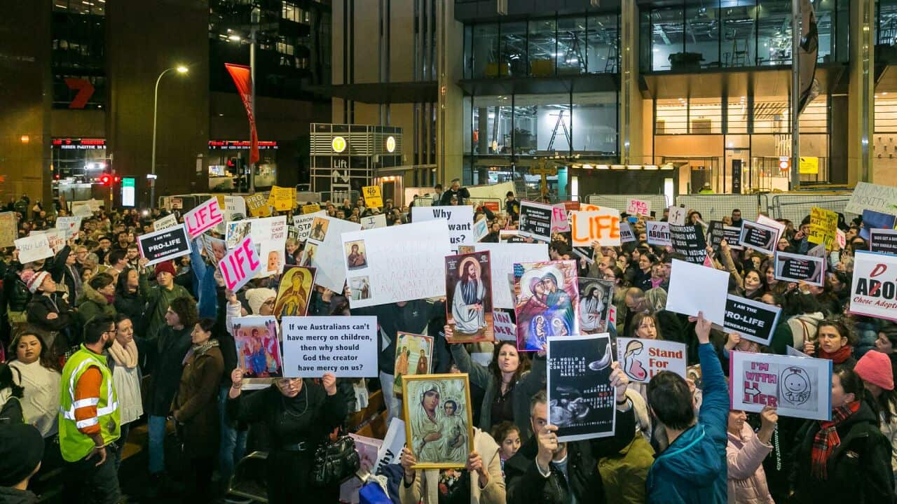 Pro Life supporters gathered at Martin Place