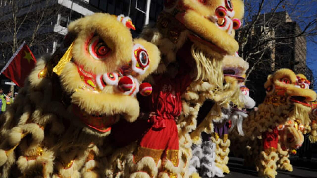 lions_parade_290610_aap_b_1206925515