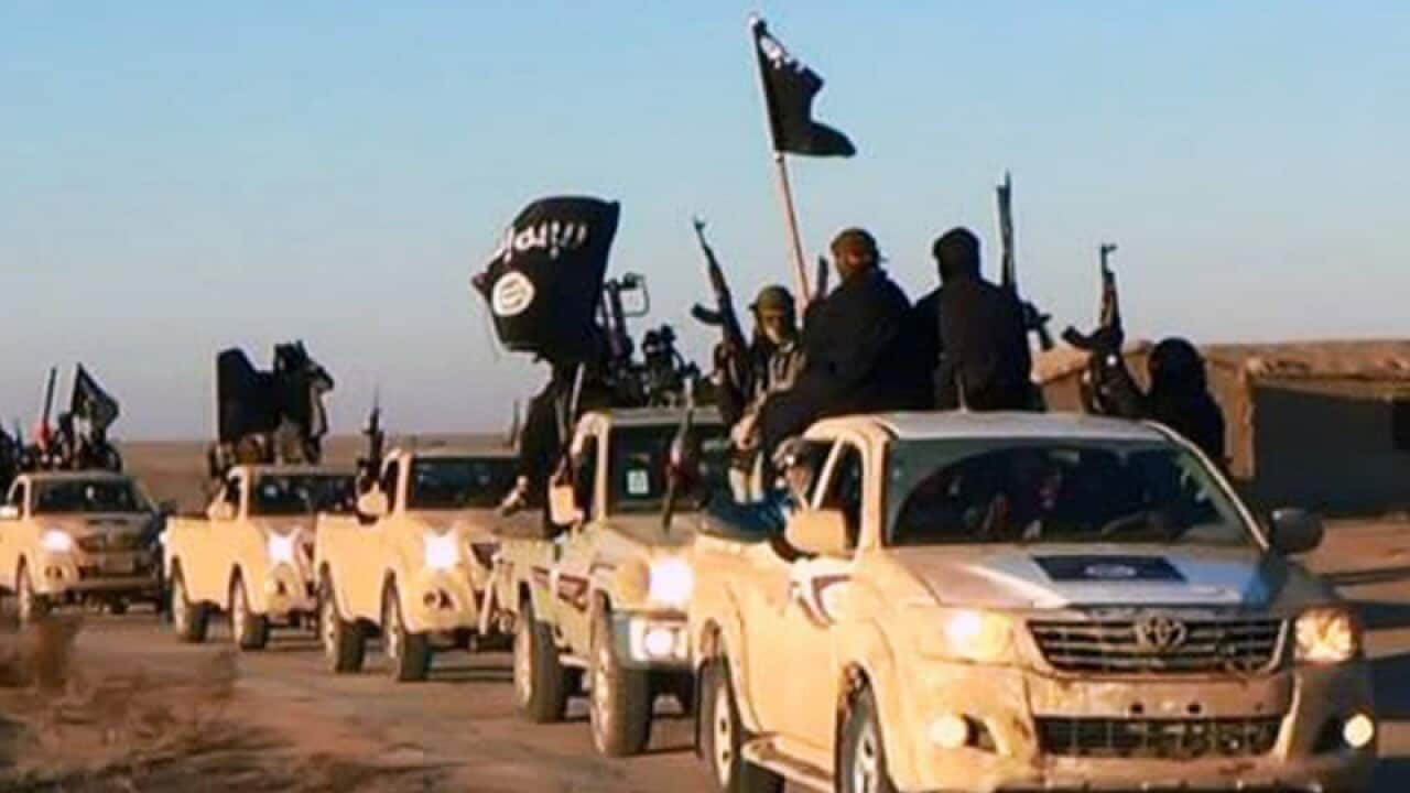 Islamic State militants